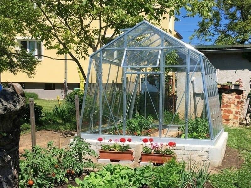 Skleník ze skla LIMES Viva V7